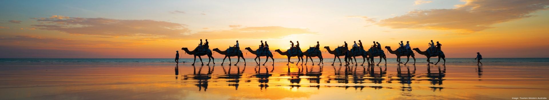 Riding Camels on Cable Beach at Sunset