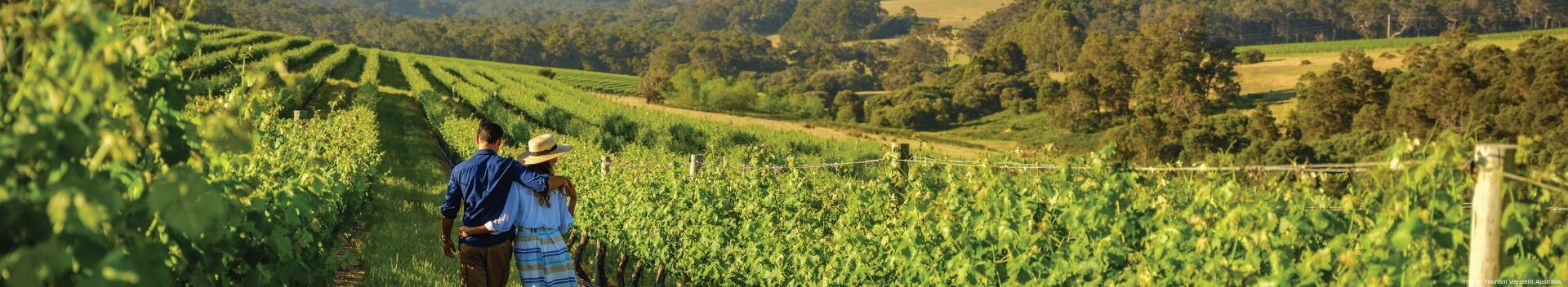 Wineries in Margaret River